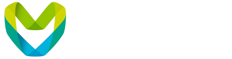METAVERSE-STANDARD image